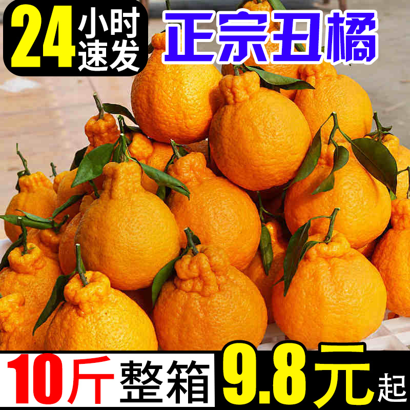 丑橘不知火新鲜橘子10斤当季蜜橘时令应季水果柑橘整箱桔子特甜