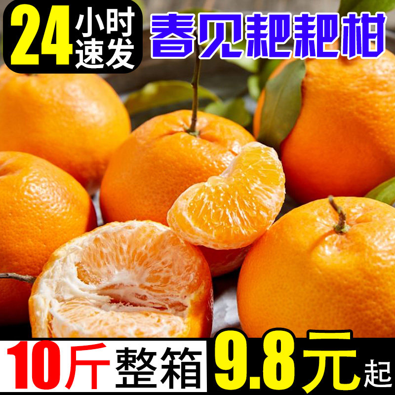 正宗耙耙柑春见桔子新鲜10斤橘子当季时令水果应季蜜橘整箱柑橘