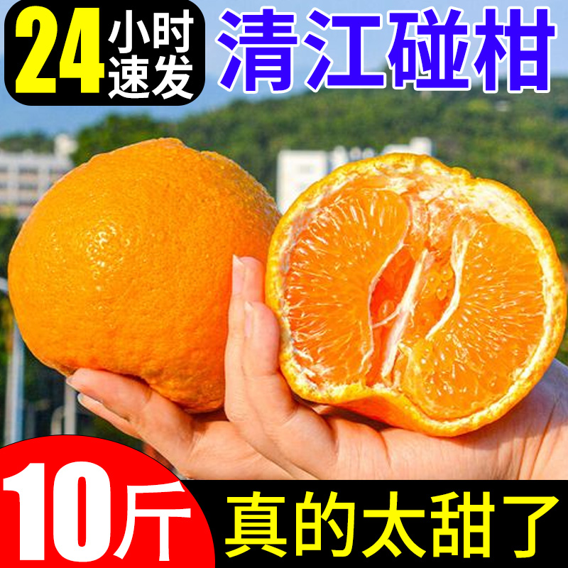 清江椪柑皮薄特甜多汁