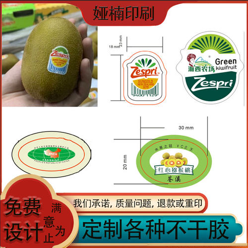 设计猕猴桃标签奇异果贴纸定制水果超市宣传单说明书果酒不干胶