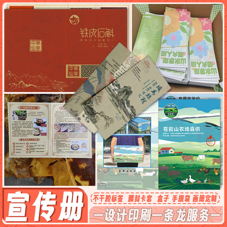 定制新款鲜松茸三折四页说明书简介功效做法设计介绍宣传单小册子