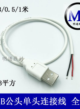 usb公头单头线两芯白色插头