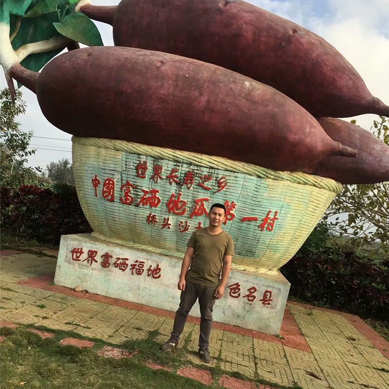 现挖海南澄迈桥头沙地瓜富硒红薯新鲜山芋10斤香薯番薯粉糯板栗薯