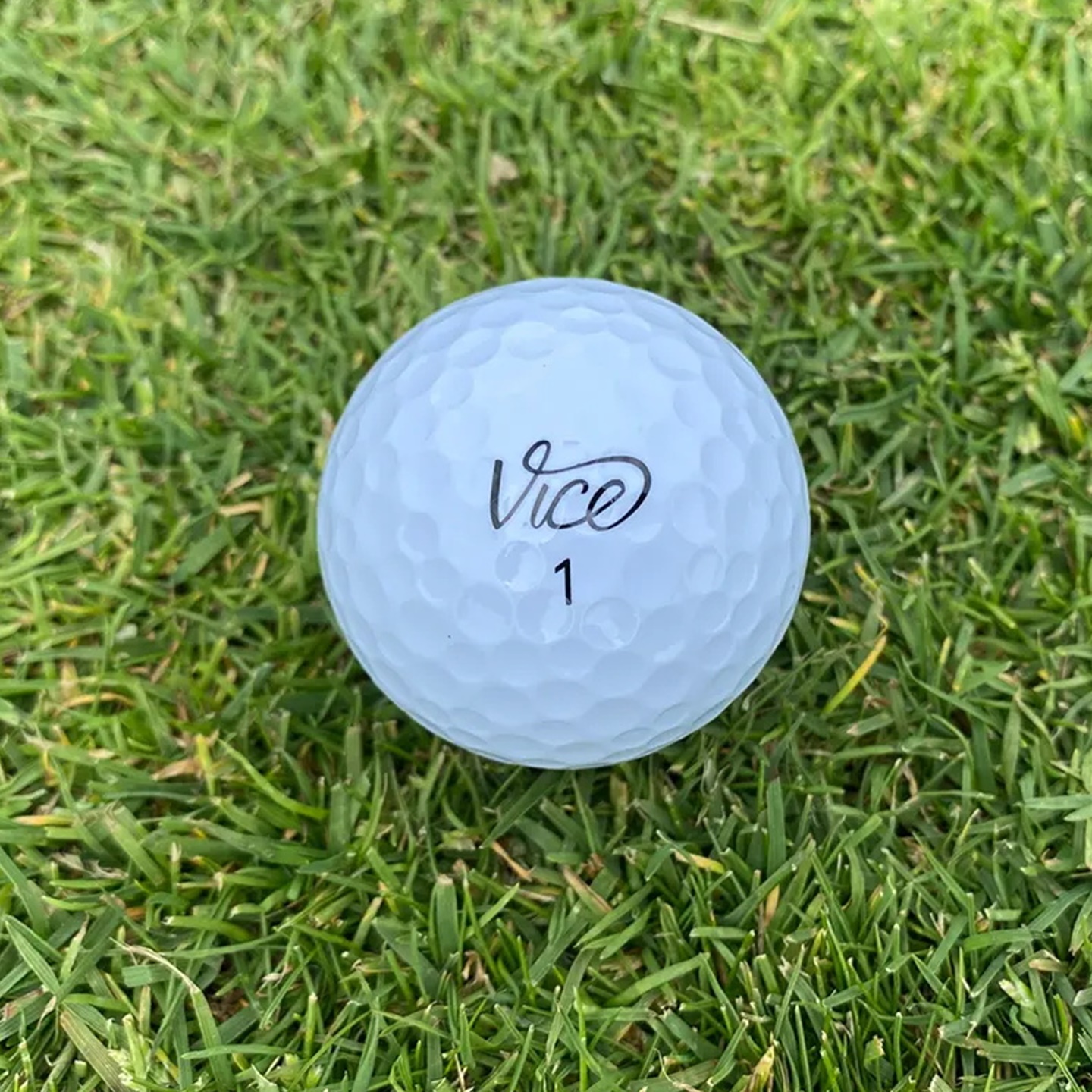 ViceGolf2025新款高尔夫球