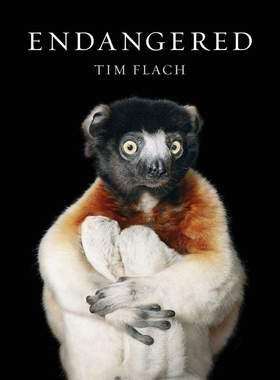 进口英文原版 Endangered 濒危动物摄影集 畅销摄影师 Tim Flach