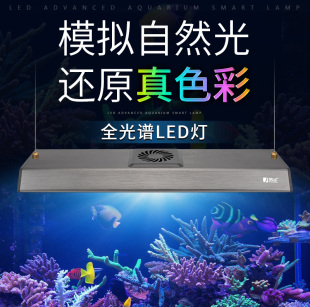 鱼缸全光谱LED灯水草照明灯水族箱夹灯防水高透光草缸爆藻灯支架