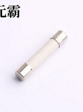 0314006.MXP 一次性保险丝 250V