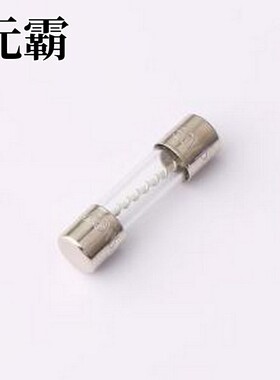 0213004.MXP 一次性保险丝 FUSE 5x20 T LBC 4A/250V (P)