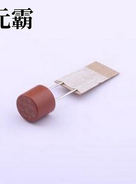 5RT-063H 一次性保险丝 插件式保险丝 插件