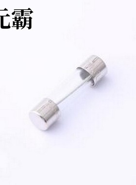 5T.1600240000R1D 一次性保险丝 5T 1.6A 250V 慢断 D5.2xL20mm