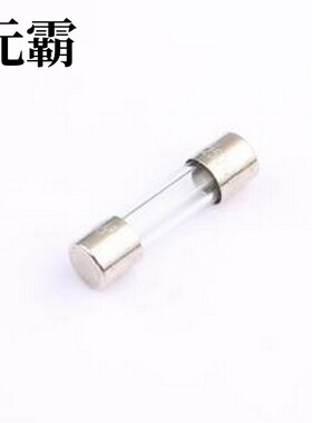 0034.3122 一次性保险丝 250V