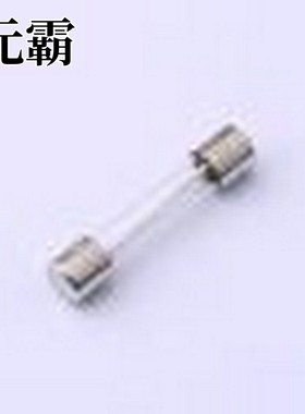 0313007.MXP 一次性保险丝 250V