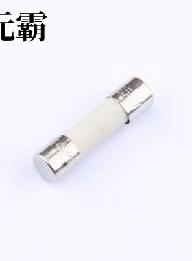 0234010.MXP 一次性保险丝 250V