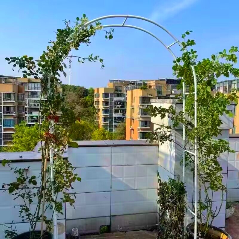 铁艺拱门花架爬藤架户外花园支架庭院装饰月季丝瓜铁线莲攀爬架子图片