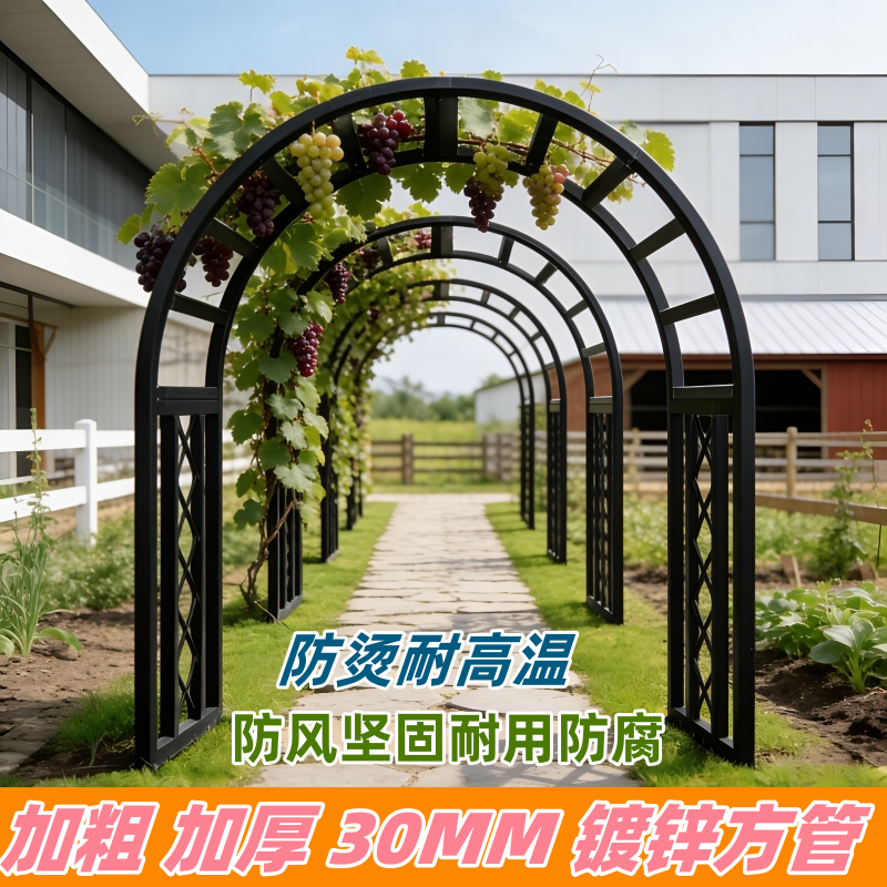 户外铁艺拱门花架庭院葡萄架防风防腐加粗30MM镀锌方管蔷薇支撑架