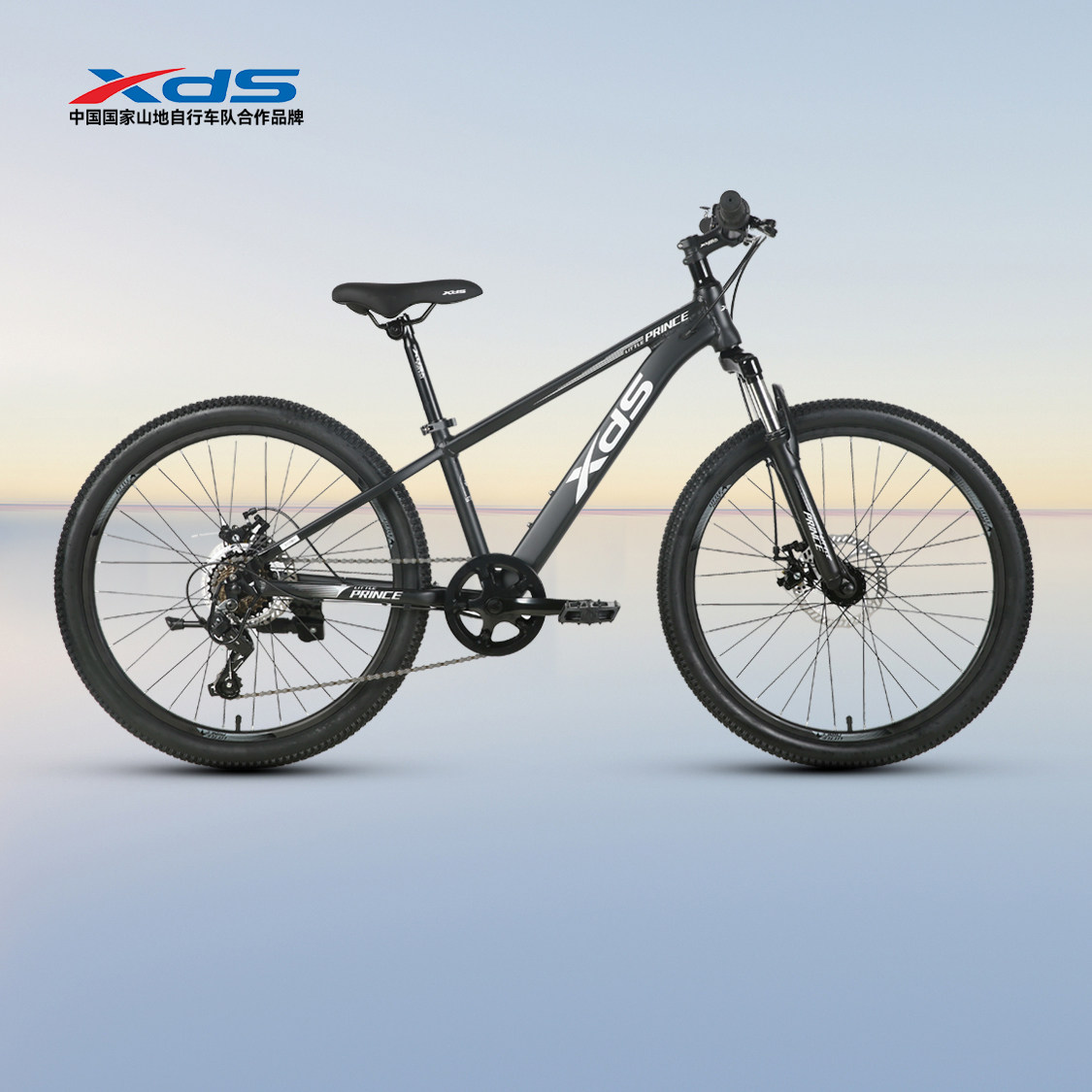 喜德盛青少年运动健身变速单车