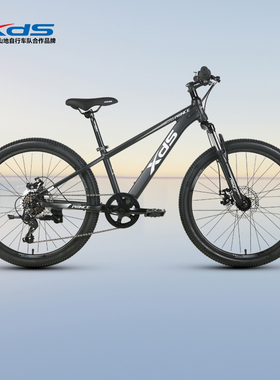 xds喜德盛儿童自行车小王子男女小学生儿童单车脚踏车青少年学生