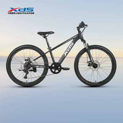 xds喜德盛儿童山地自行车小王子青少年北极星PRO男孩女孩变速单车