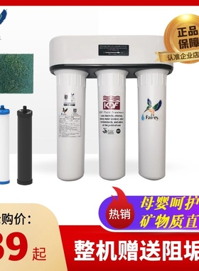 HOT飞力FIP301厨房三桶直饮净水器Fairey过滤器适用道尔顿DIP301