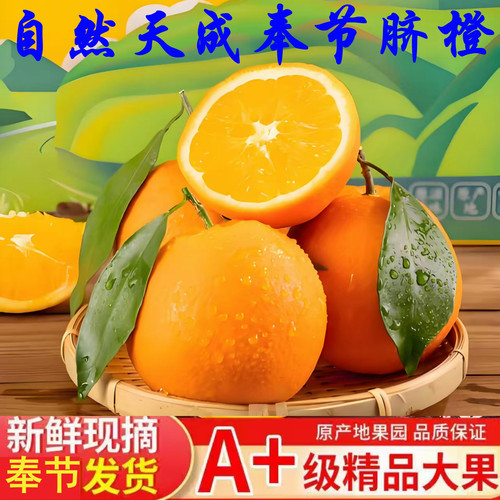 正宗重庆奉节脐橙夏橙伦晚薄皮无籽超甜送礼精品水果果园直发包邮