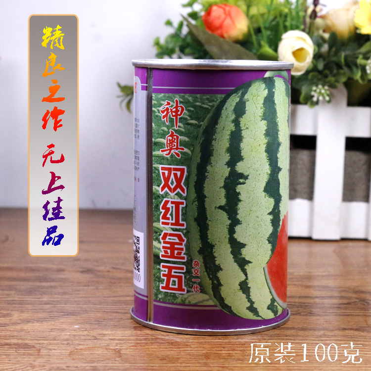 双红金五西瓜种子特大红金城5号压砂瓜石头瓜石缝瓜春季大红瓤甜
