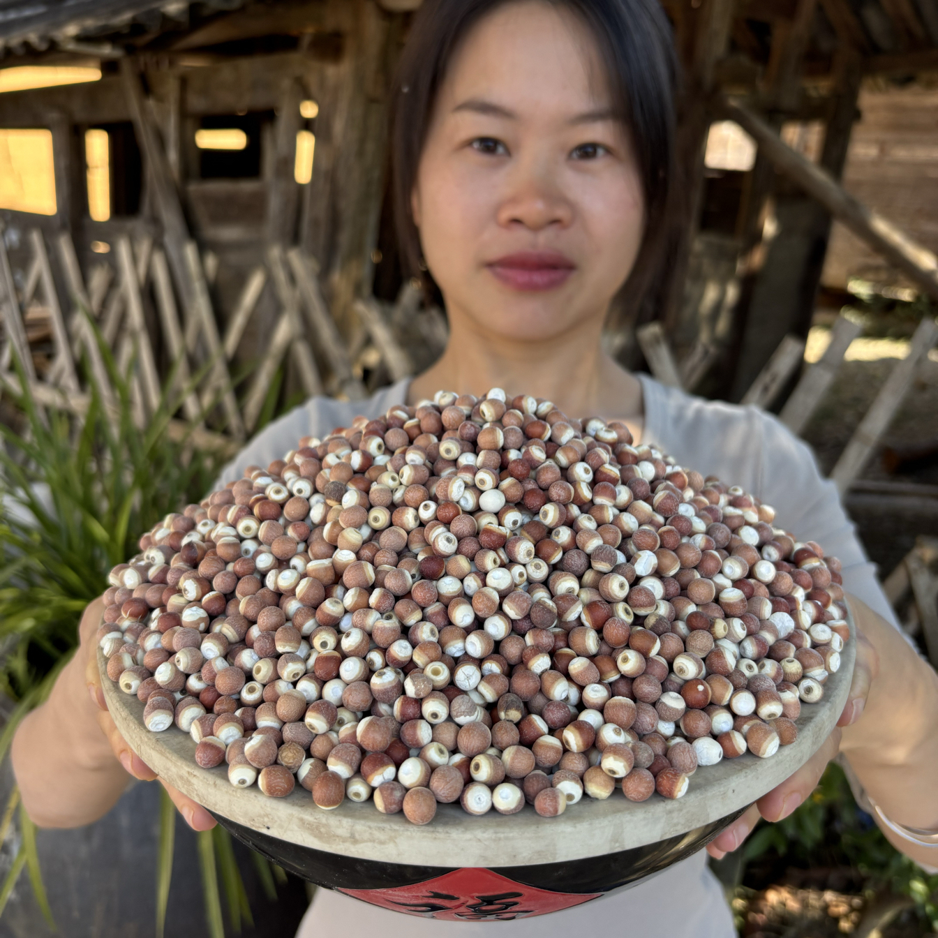 包邮芡实500g干货特级无添加泡茶煮粥养生精品鸡头米可搭配土茯苓