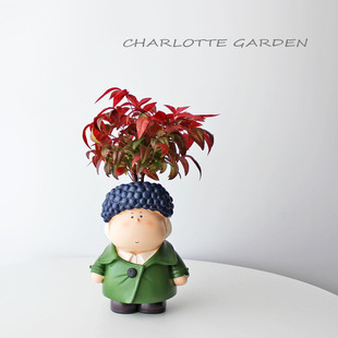 夏洛特花园 火焰南天竹 喜阳植物 阳台窗台绿植盆栽 新年圣诞礼物