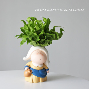 办公室桌面净化空气 室内喜阴植物 盆栽 火焰鸟巢蕨 创意生日礼物