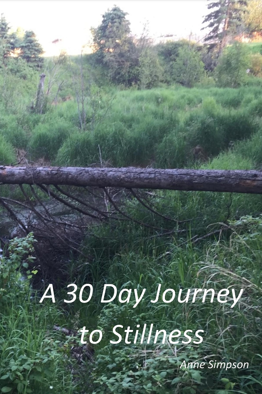 预售按需印刷 A 30 Day Journey to Stillness