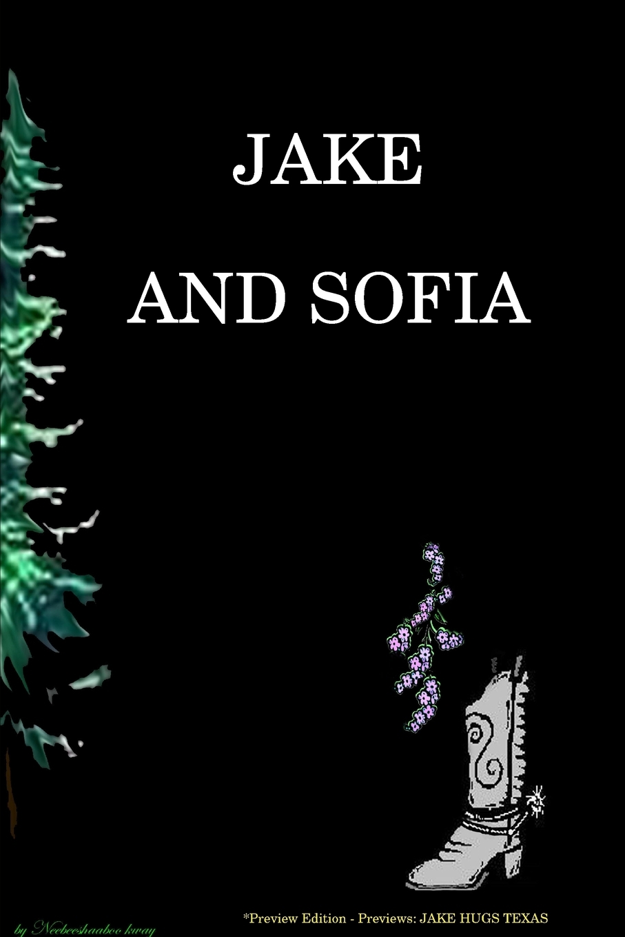 【预售按需印刷】JAKE AND SOFIA Soft cover- preview edtion