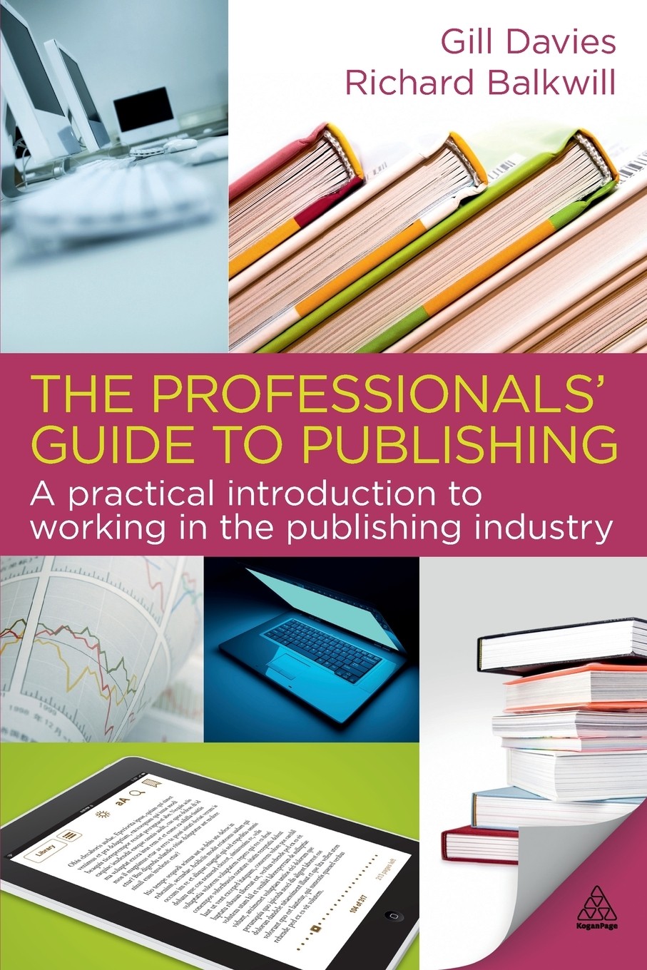 【预售 按需印刷】the professionals  guide to publishing