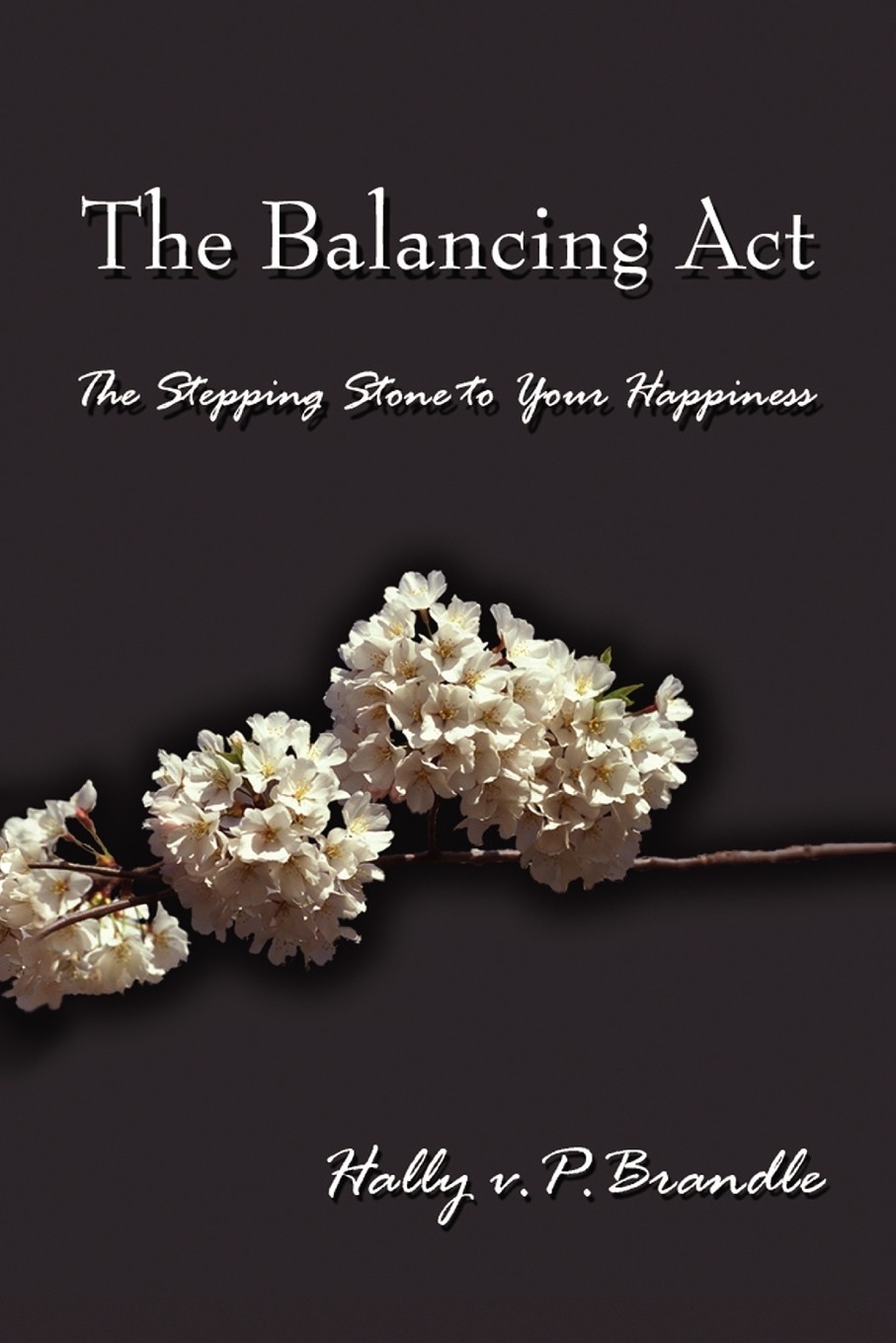 【预售 按需印刷】the balancing act