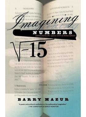 预售  Imagining Numbers