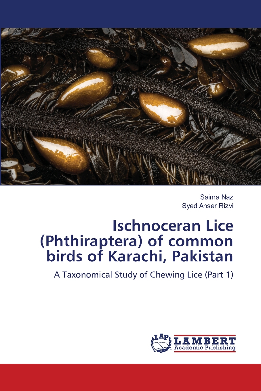 【预售按需印刷】Ischnoceran Lice(Phthiraptera) of common birds of Karachi Pakistan