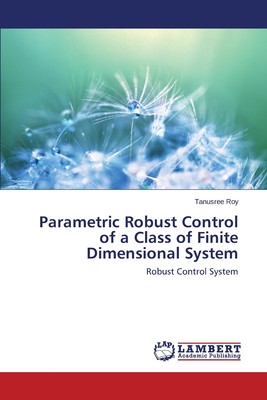 【预售 按需印刷】Parametric Robust Control of a Class of Finite Dimensional System