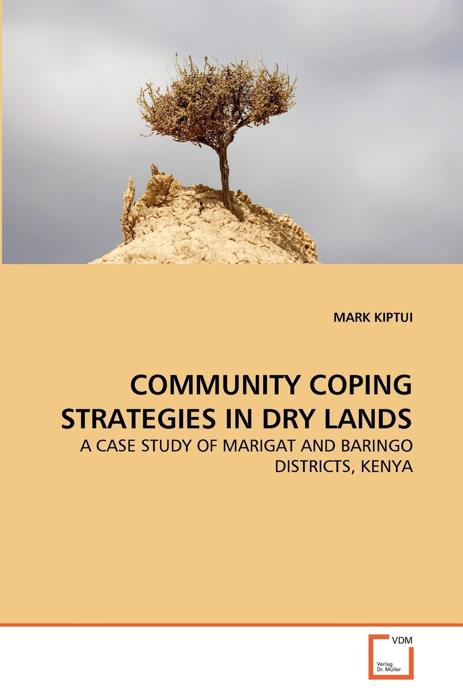【预售 按需印刷】community coping strategies in dry lands