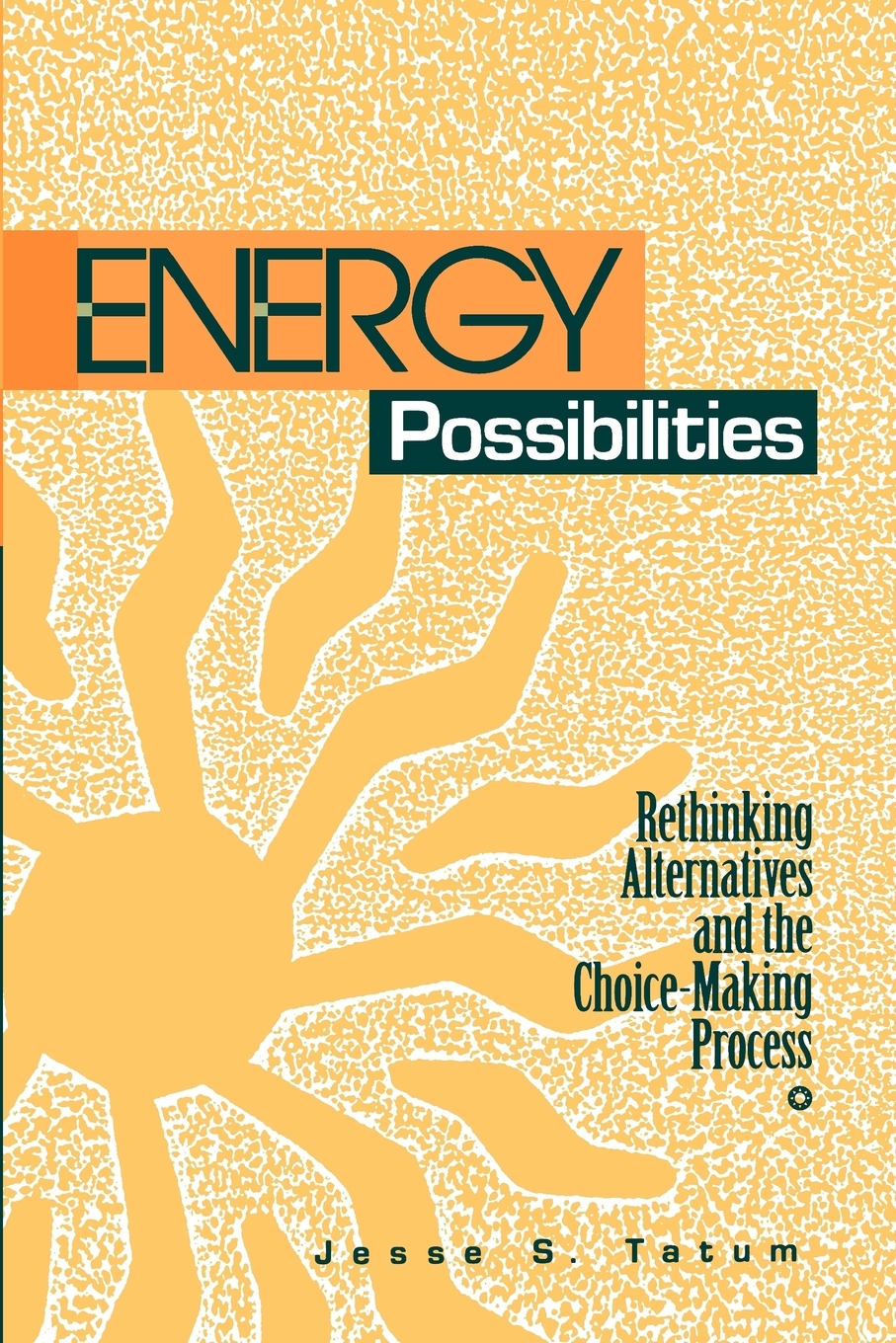 【预售按需印刷】Energy Possibilities