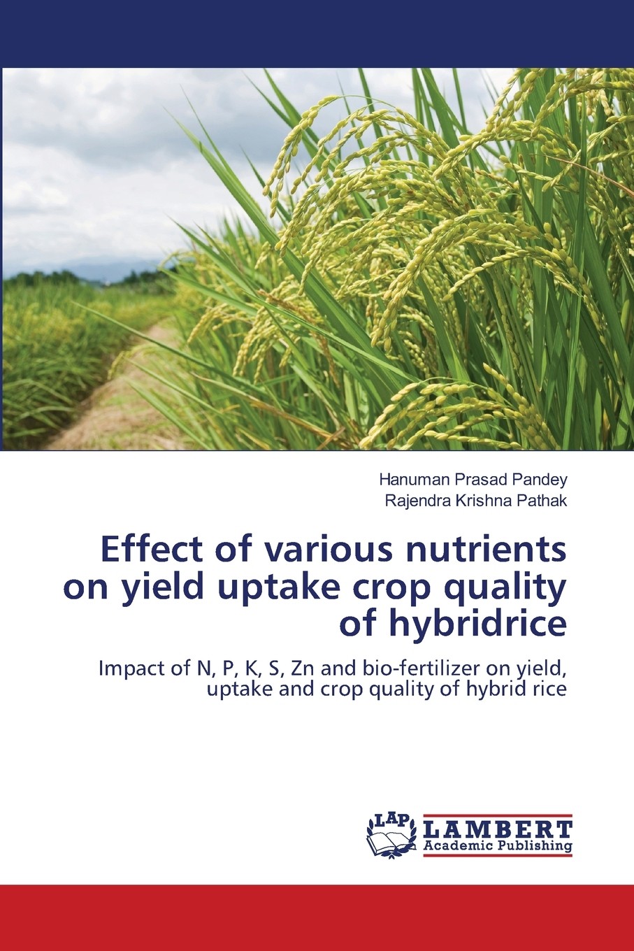 of various nutrients on yield uptake crop quality of hybridrice
