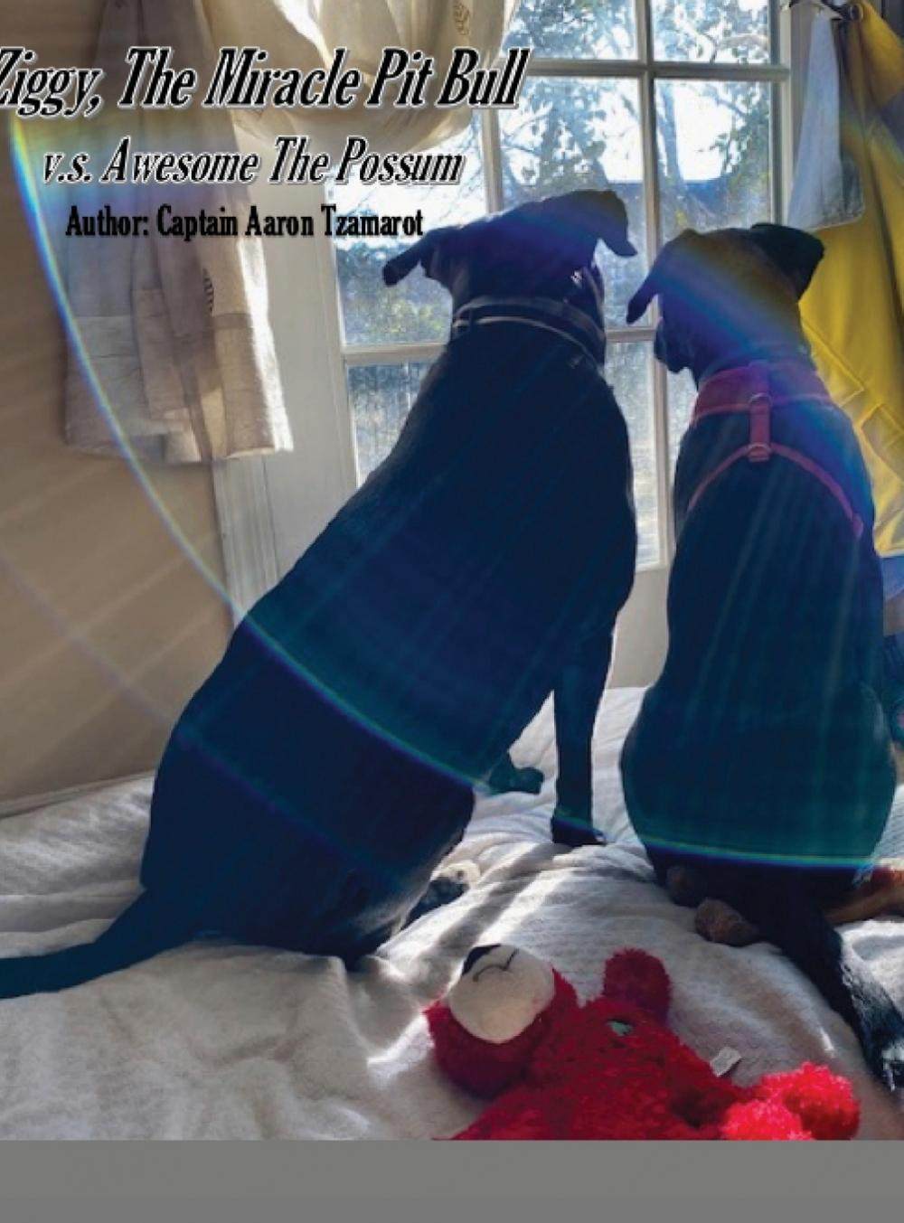 【预售按需印刷】ziggy  the miracle pit bull