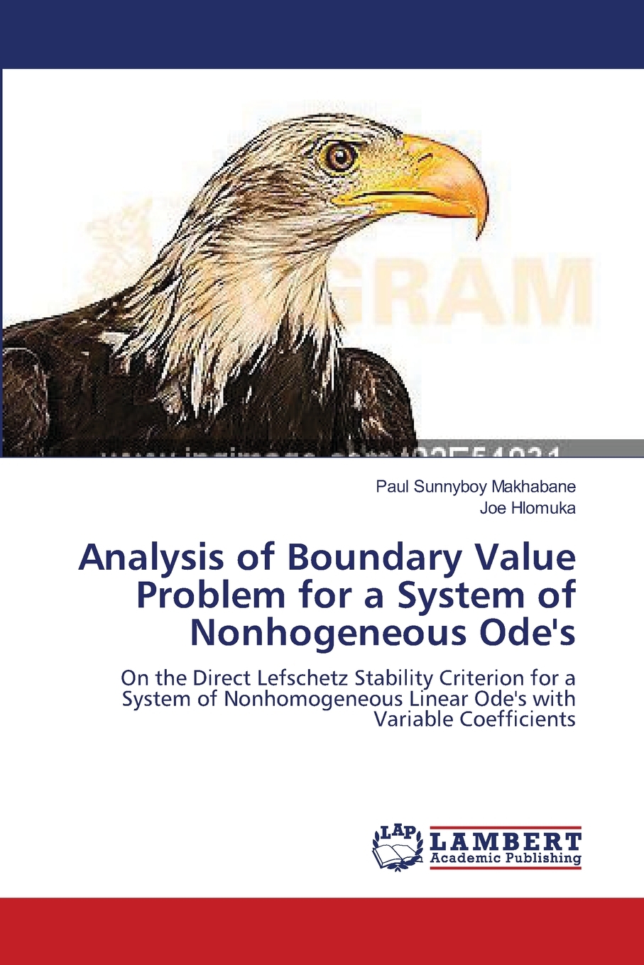 【预售按需印刷】Analysis of Boundary Value Problem for a System of Nonhogeneous Ode s