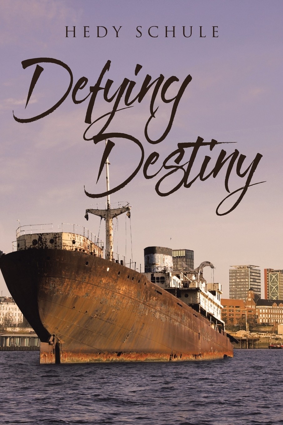 【预售 按需印刷】defying destiny