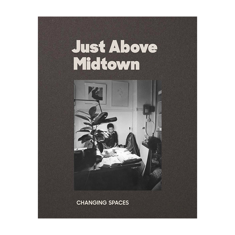 JAM：变化的空间：1974年至今 Just Above Midtown: 1974 to the Present  外国美术当代艺术 英文原版 【中图原版进口】