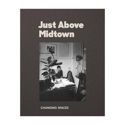 JAM：变化的空间：1974年至今 Just Above Midtown: 1974 to the Present  外国美术当代艺术 英文原版 【中图原版进口】