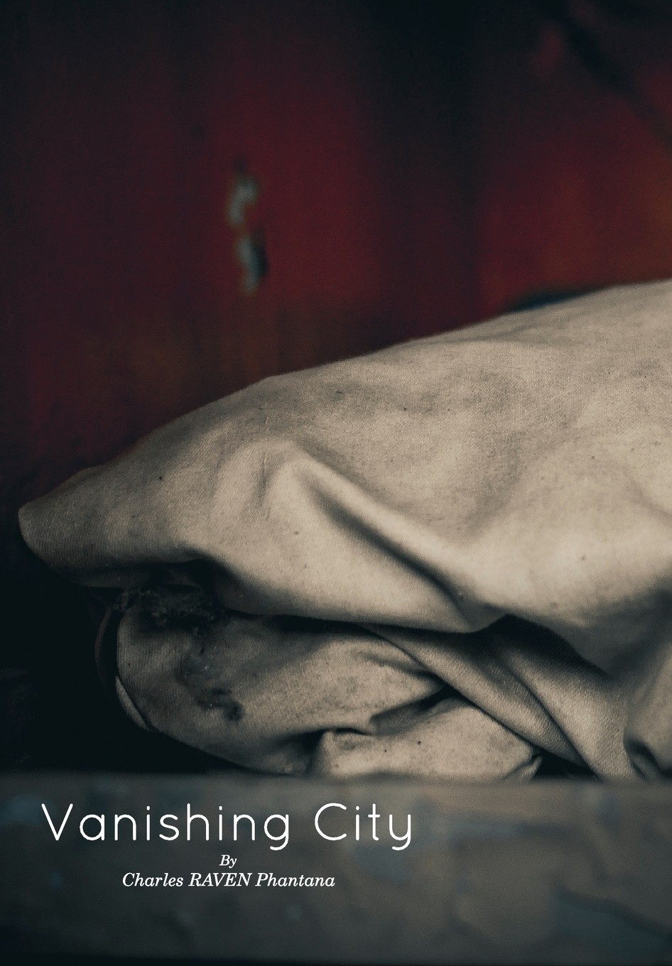 【预售 按需印刷】vanishing city