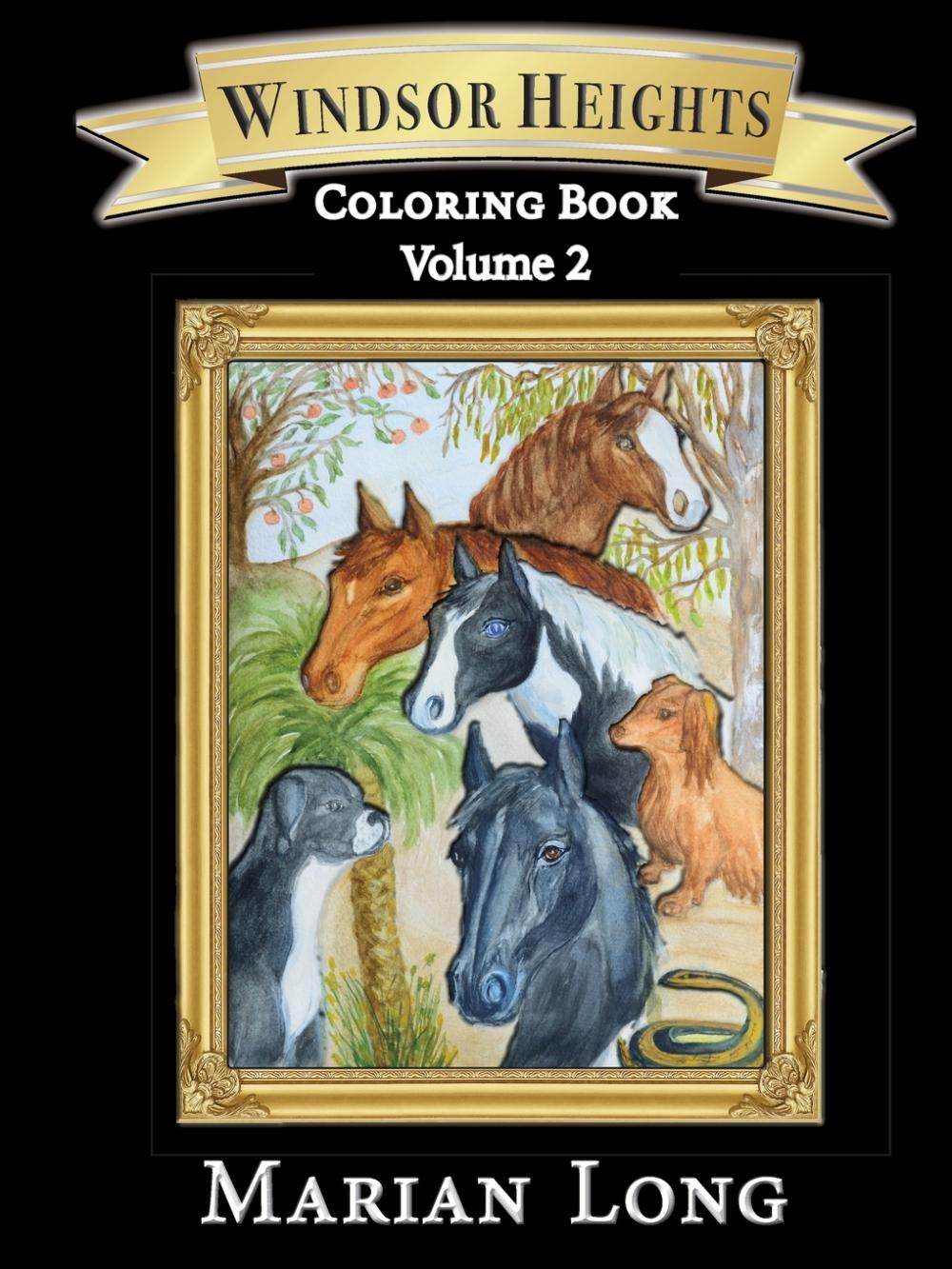 预售 按需印刷 windsor heights coloring book volume 2