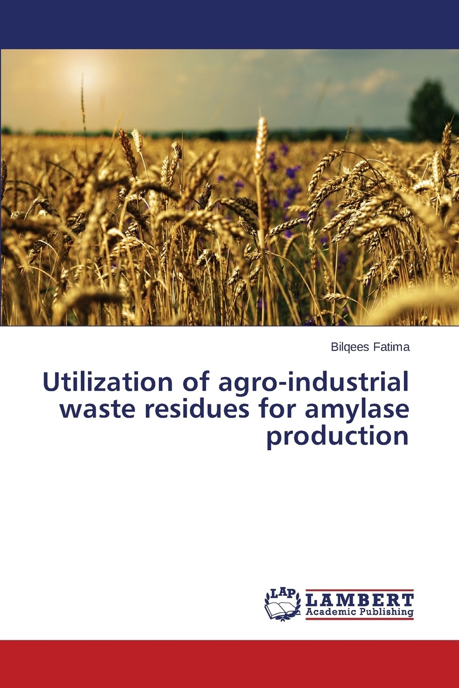 【预售按需印刷】utilization of agro-industrial waste residues