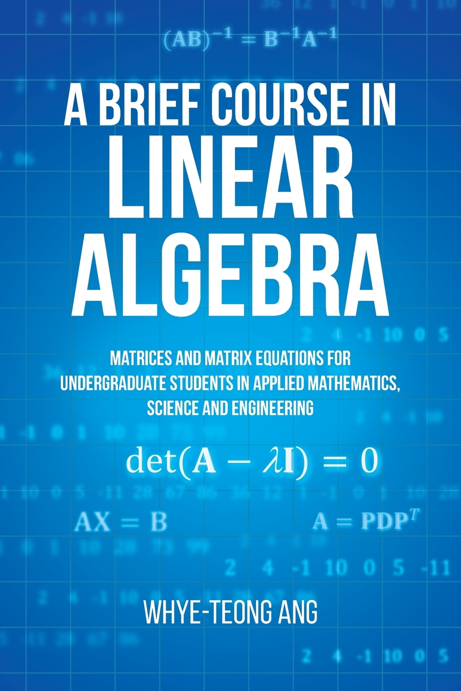 【预售按需印刷】A Brief Course in Linear Algebra