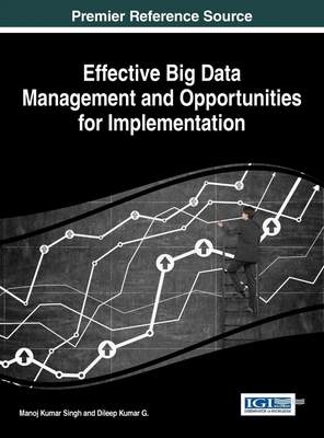 【预售 按需印刷】Effective Big Data Management and Opportunities for Implementation