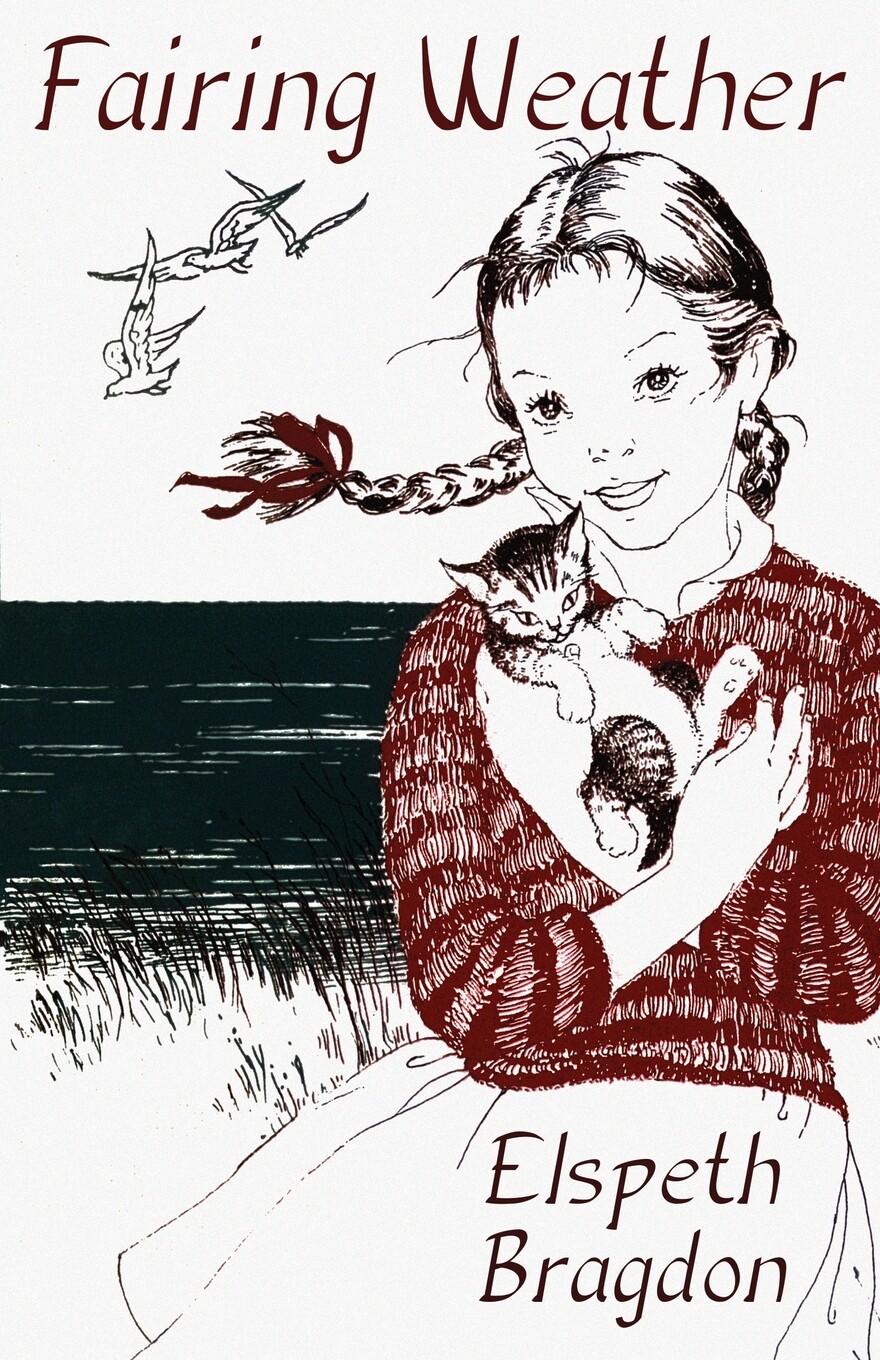 【预售 按需印刷】fairing weather