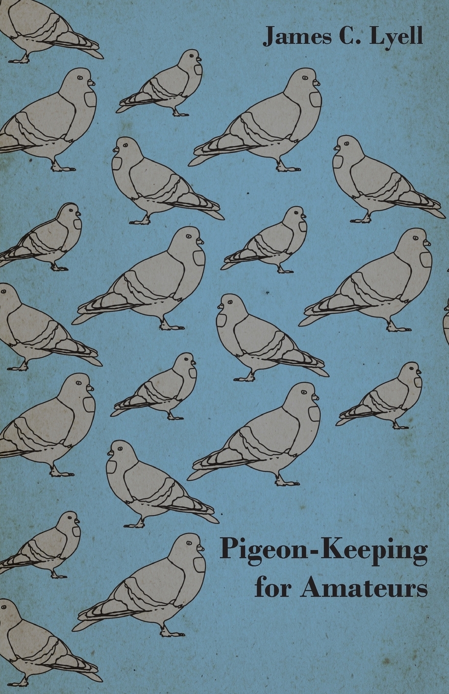 【预售按需印刷】Pigeon-Keeping for Amateurs- A Complete and Concise Guide to the Amateur Breeder of Domestic and Fa